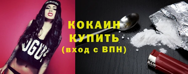 гашик Вязьма
