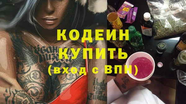 гашик Вязьма