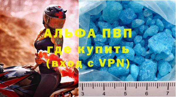 индика Горняк