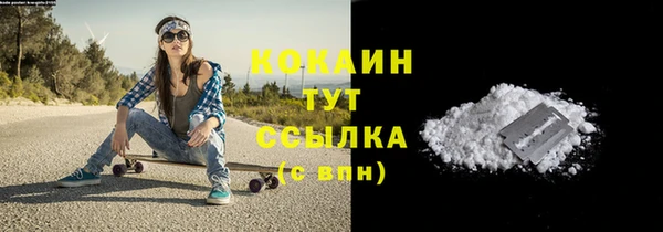 гашик Вязьма