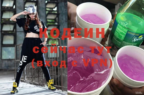 индика Горняк