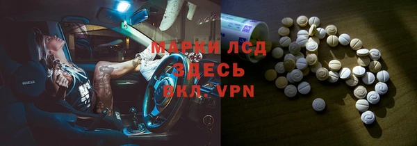 индика Горняк