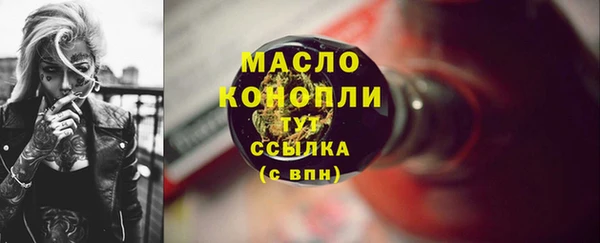 индика Горняк