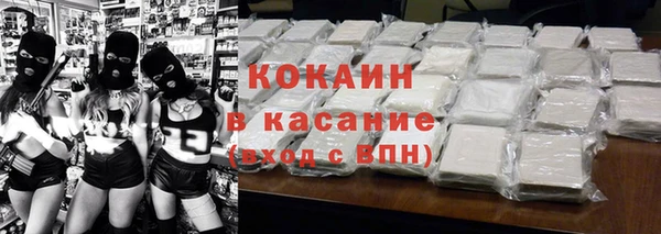 индика Горняк