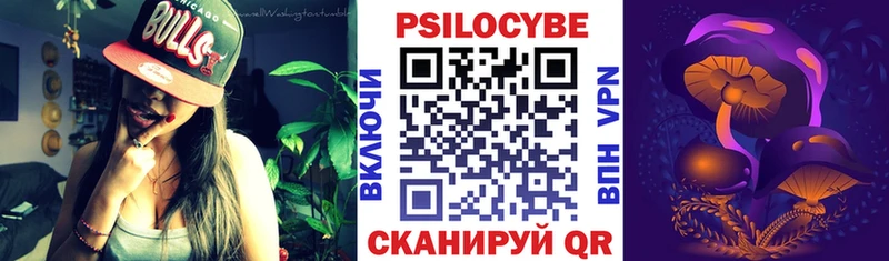 OMG   Балашиха  Псилоцибиновые грибы Psilocybine cubensis 